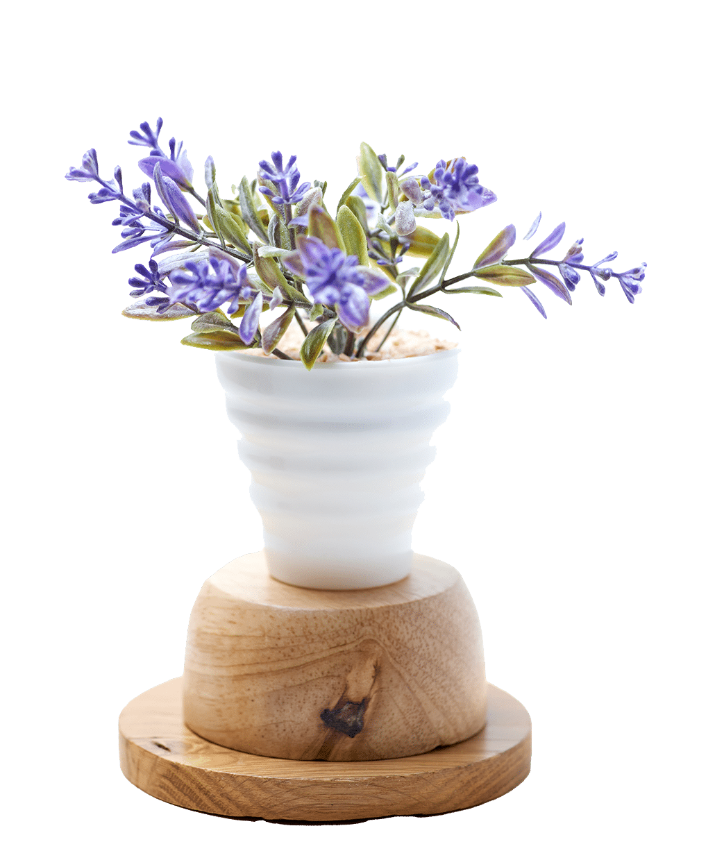 Vaso de flores de lavanda